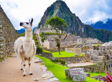 XL GÜNEY AMERIKA - PERU & ŞİLİ & URUGUAY & PARAGUAY & ARJANTİN & BREZİLYA