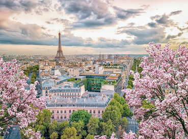 Görkemli Dörtlü Benelüx & Fransa & Almanya & İsviçre 7 Gece - THY ile (2026 Kış Dönemi) (DUS - BSL) AT1296