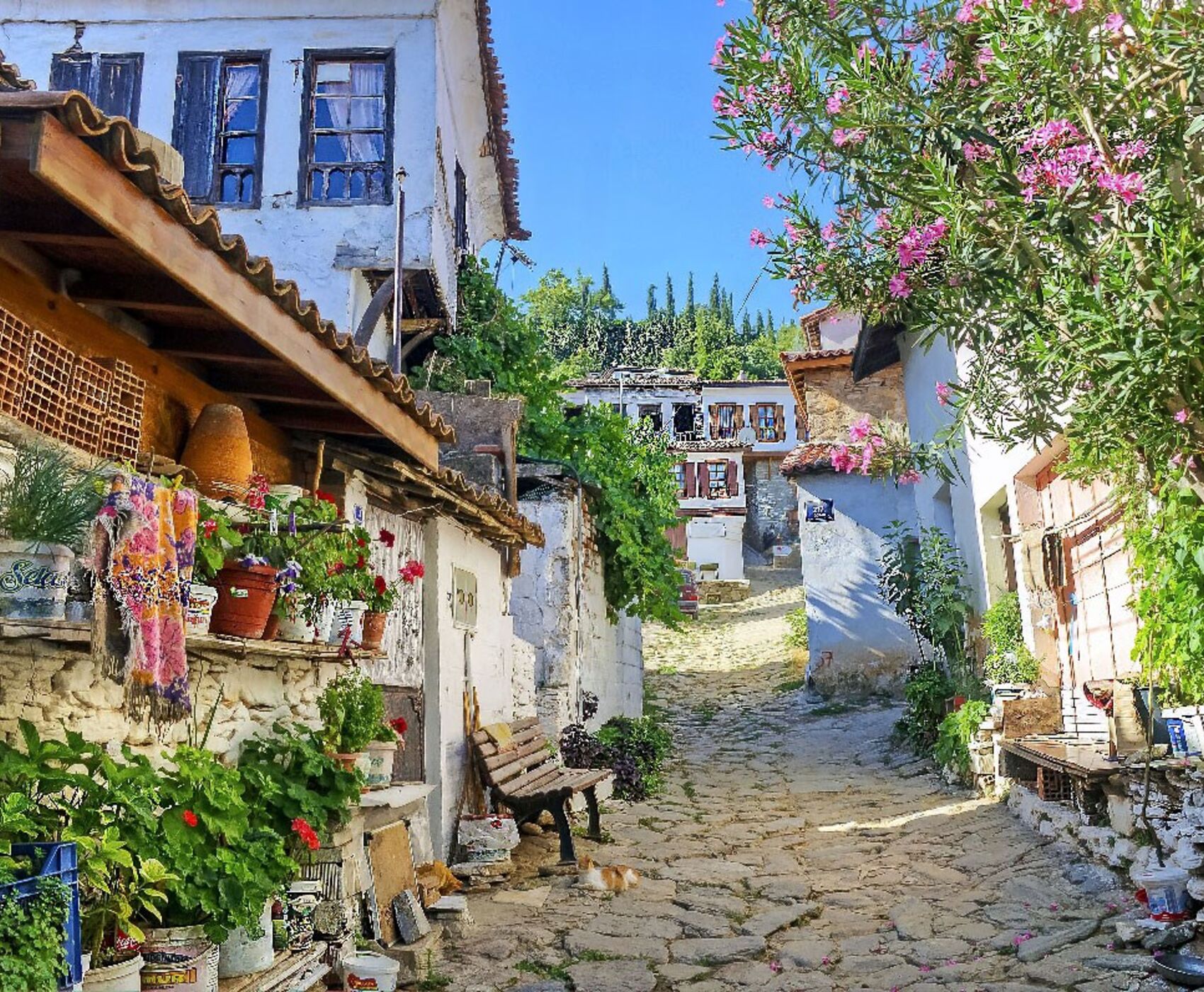 UÇAKLI BÜYÜK EGE İZMİR GÖKÇEADA BOZCAADA AYVALIK TURU