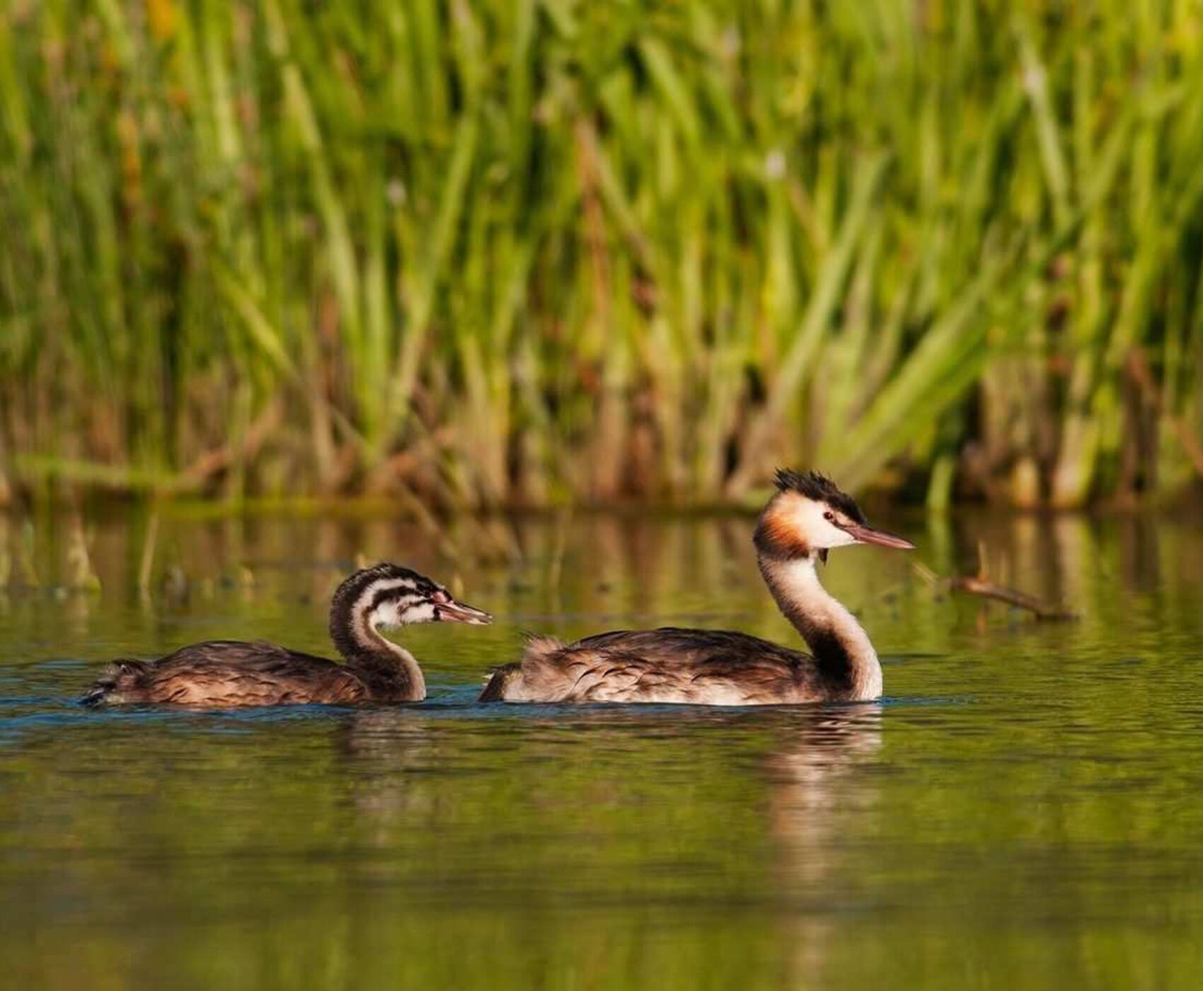 UÇAKLI BAŞTAN BAŞA MARMARA TURU
