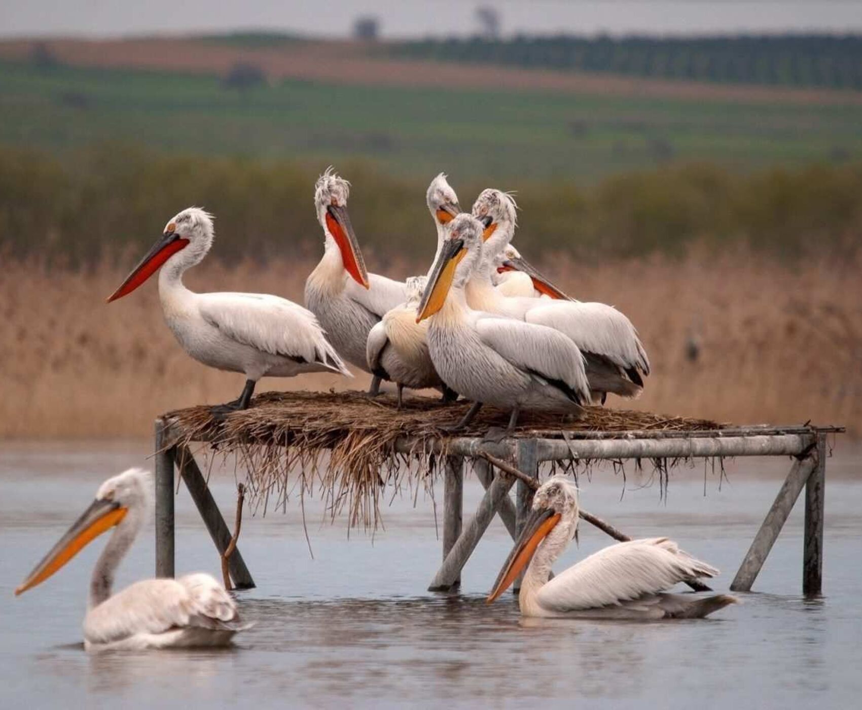 UÇAKLI BAŞTAN BAŞA MARMARA TURU