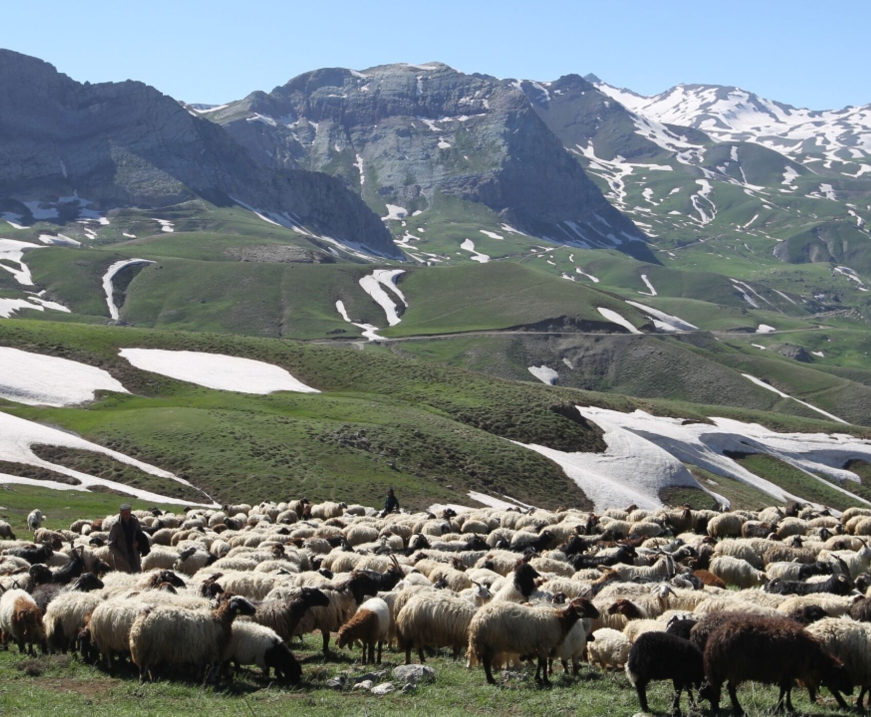 UÇAKLI VAN BAŞKALE YÜKSEKOVA HAKKARİ ŞIRNAK CİZRE DİYARBAKIR