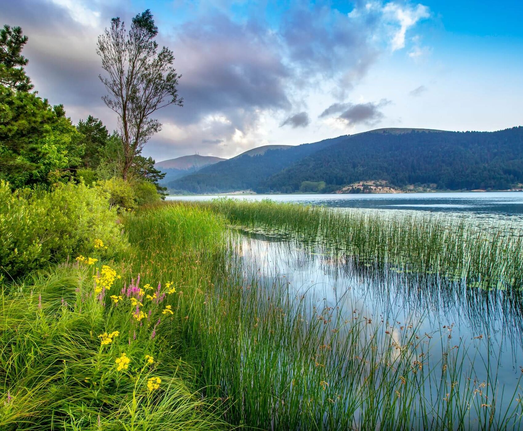 UÇAKLI BUTİK BATI KARADENİZ & BEYPAZARI 