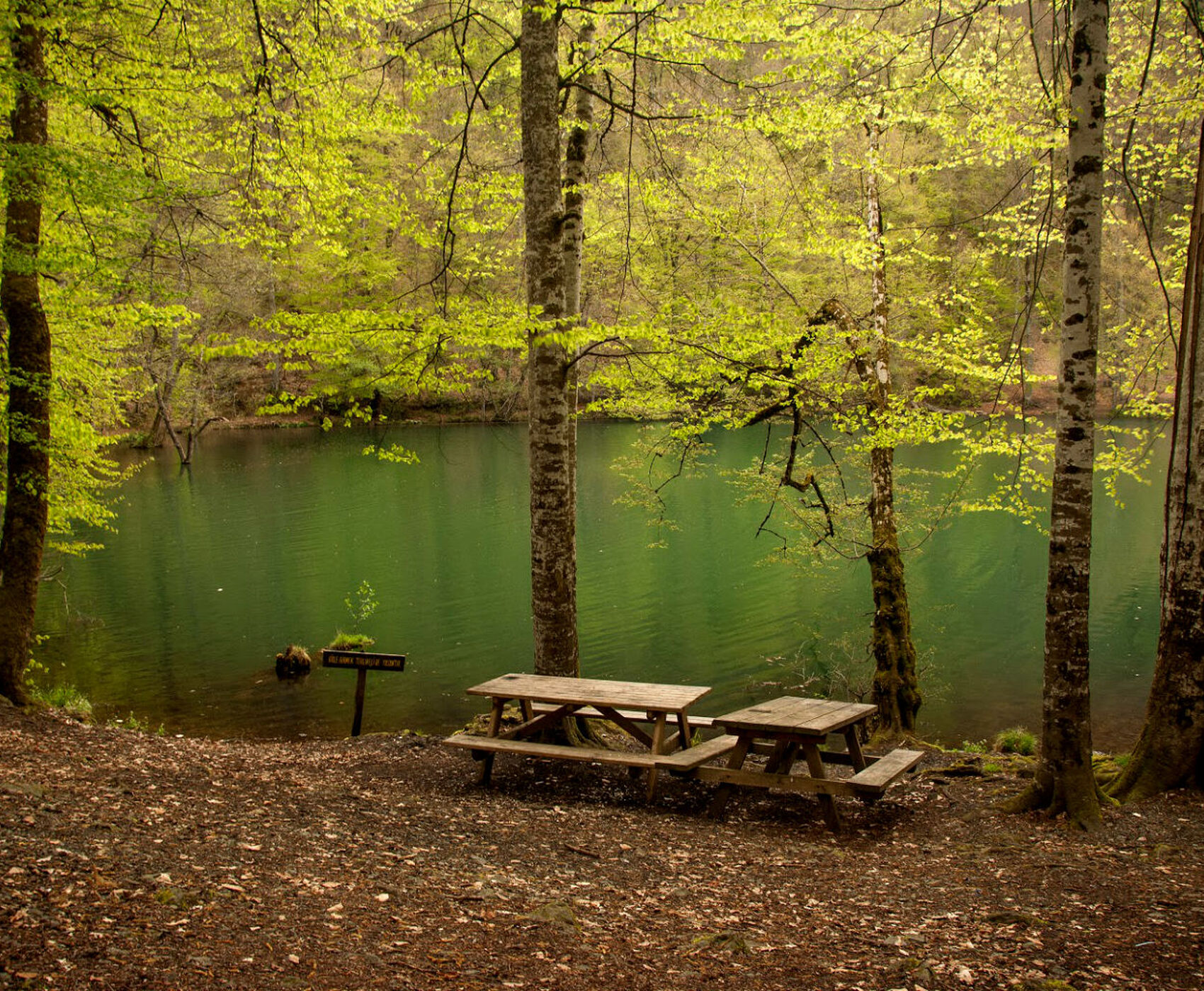 UÇAKLI BUTİK BATI KARADENİZ & BEYPAZARI 