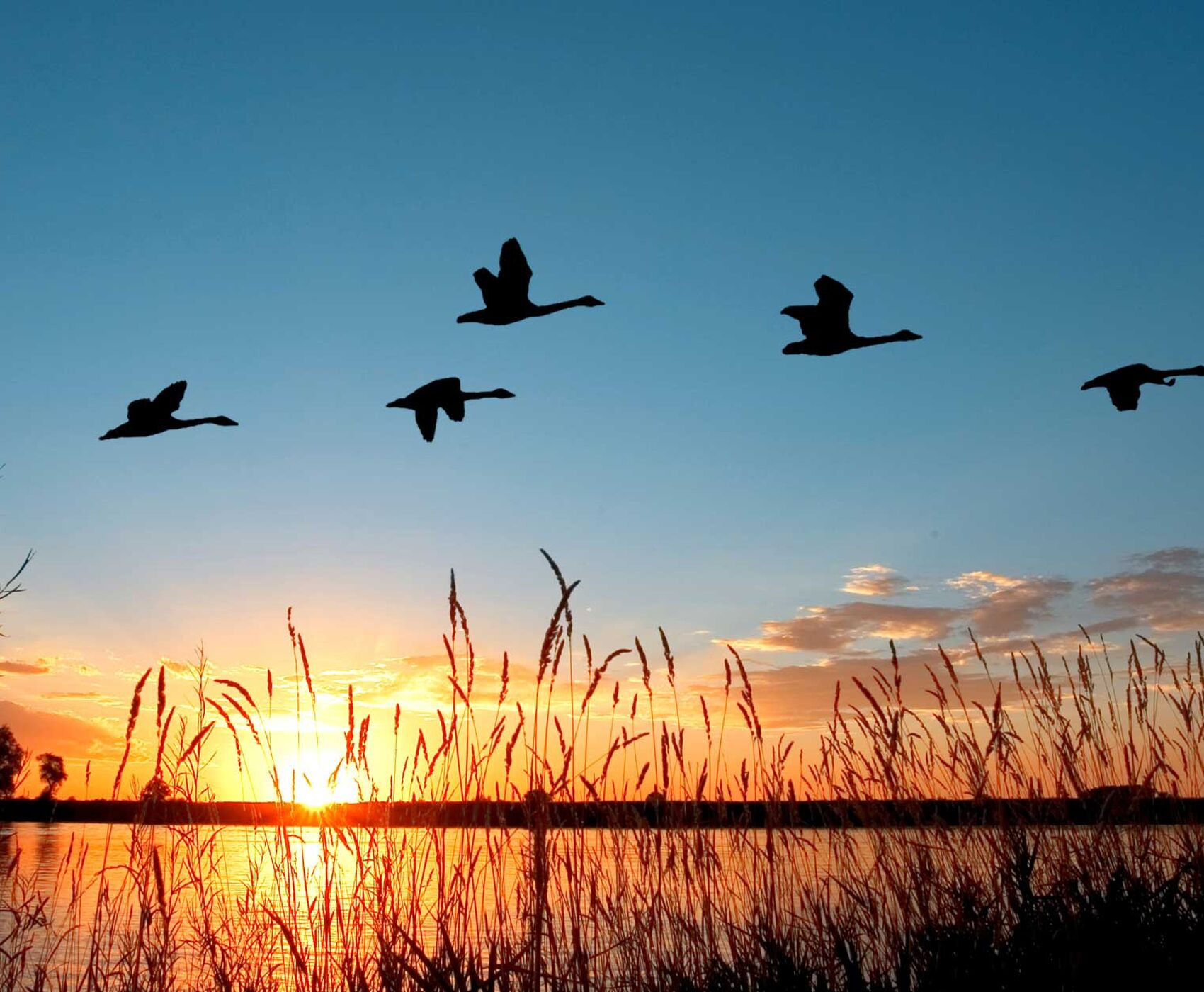 UÇAKLI BUTİK BATI KARADENİZ & BEYPAZARI 