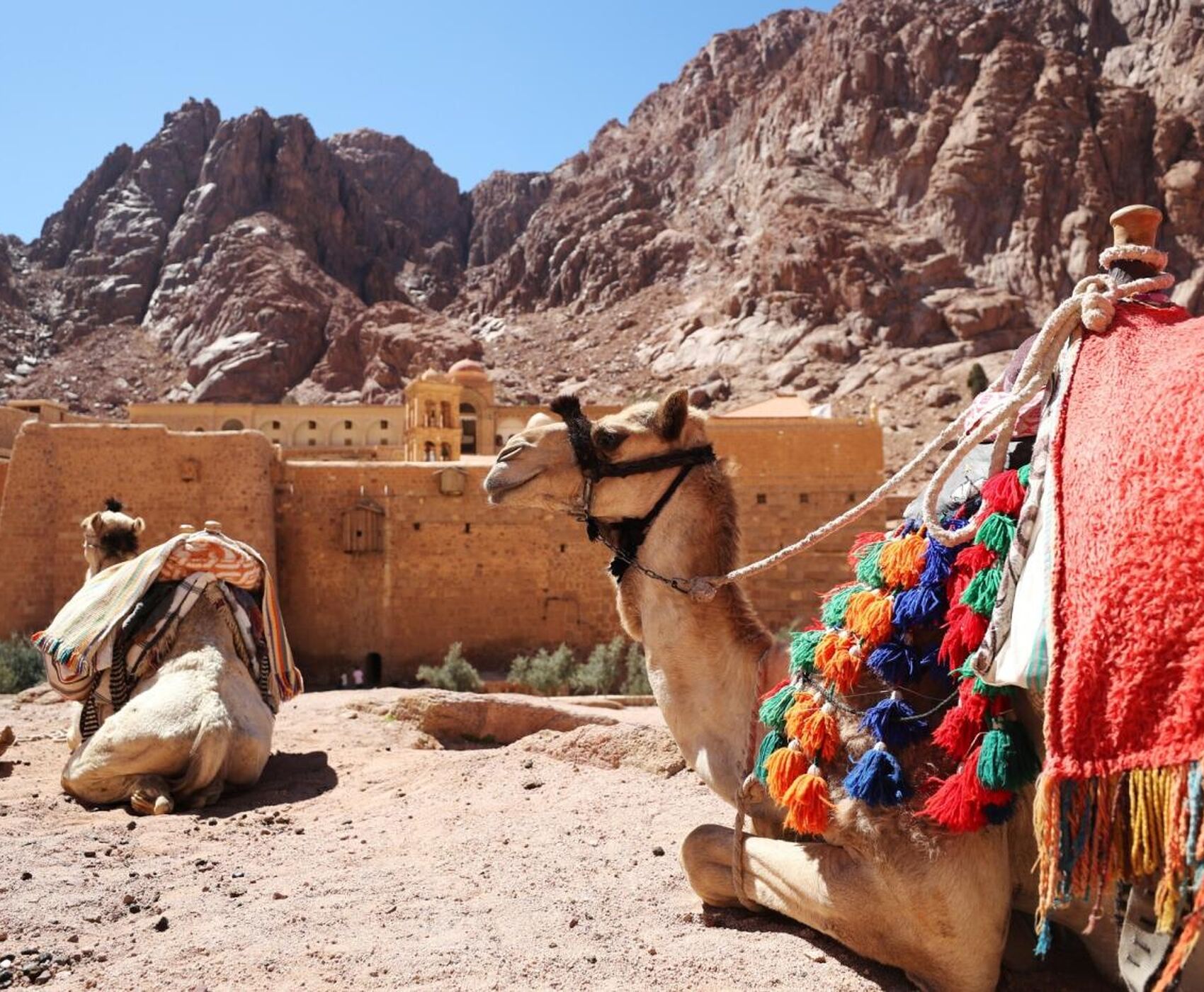 ANTALYADAN DİREKT UÇAKLI  BAŞTAN BAŞA MISIR VE ÜRDÜN MOZAİĞİ 