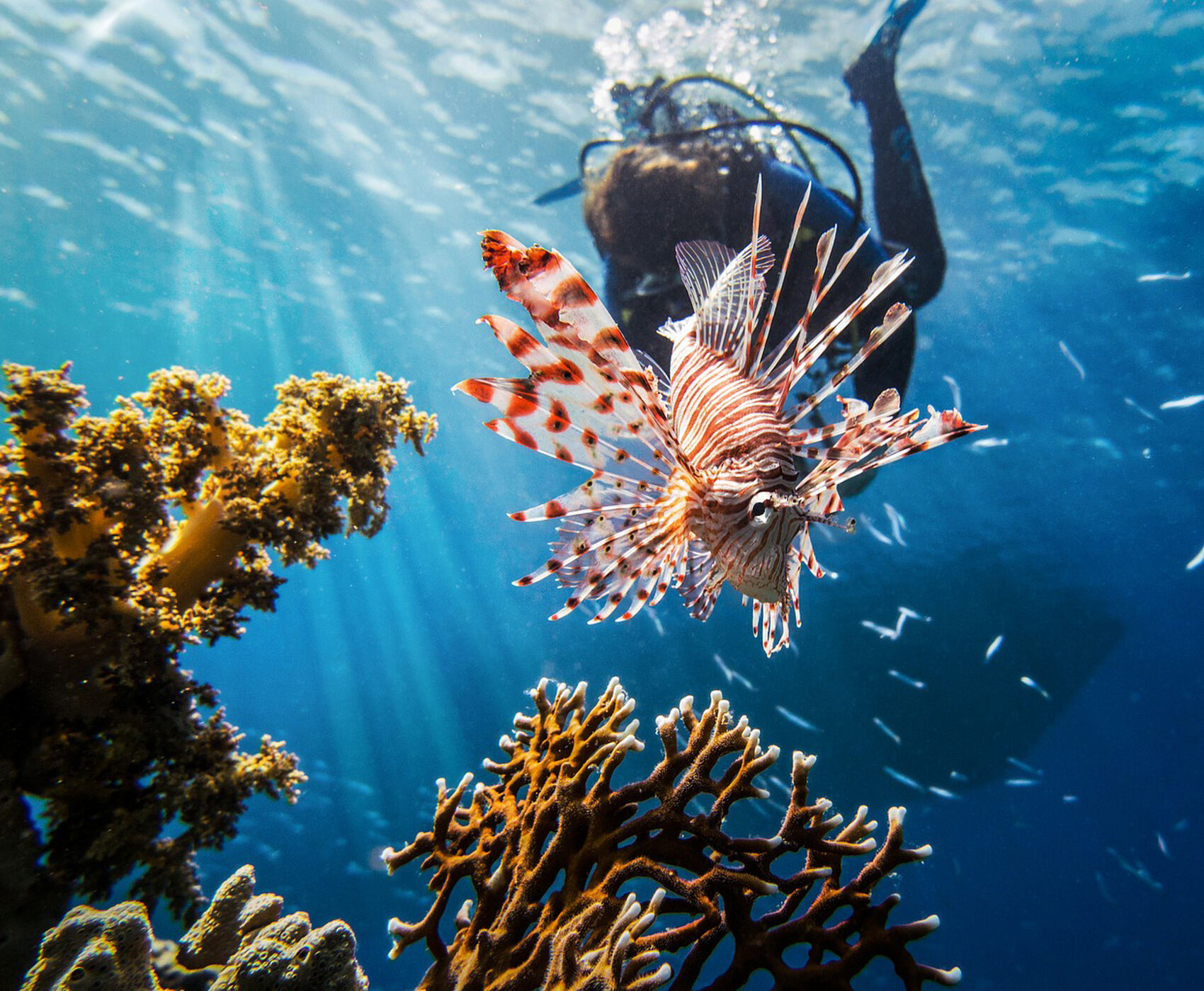 ANTALYADAN DİREKT UÇAKLI  BAŞTAN BAŞA MISIR VE ÜRDÜN MOZAİĞİ 