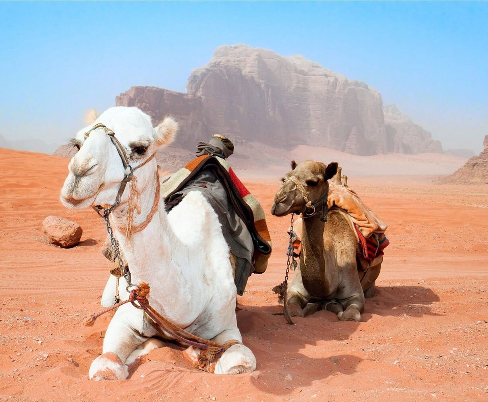 ANTALYADAN DİREKT UÇAKLI  BAŞTAN BAŞA MISIR VE ÜRDÜN MOZAİĞİ 