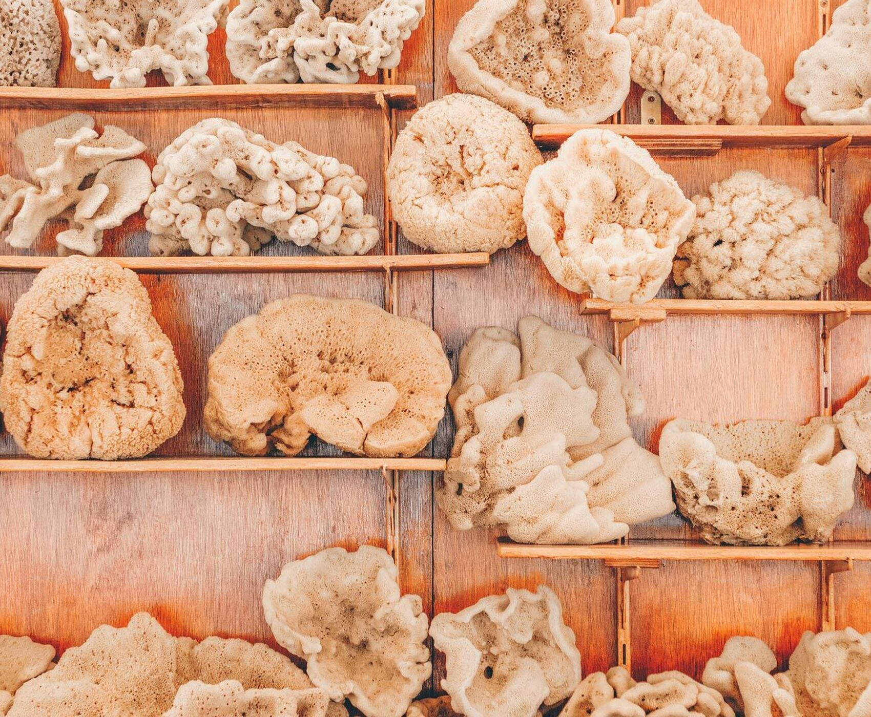 تور جزیره کالینموس