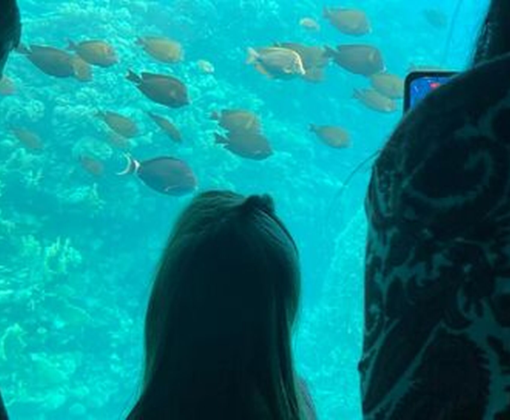 ANTALYADAN DİREKT UÇAKLI SHARM & KAHİRE MACERASI TURU - 18 MART