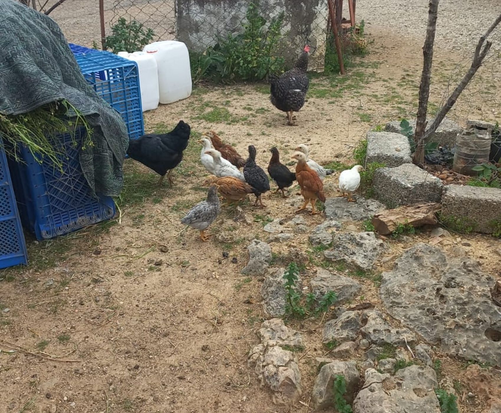 KÖY YAŞAMI & KARACAÖREN BARAJI SIĞLA ORMANLARI TEKNE TURU